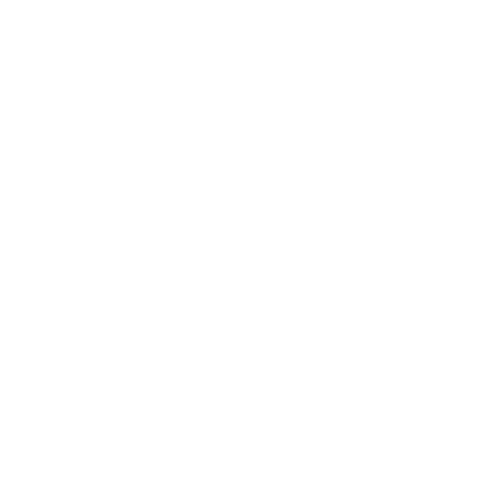 SkknBoo